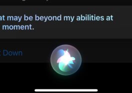 Nothing is rotten in the state of Cupertino — Siri