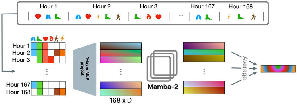 1752186340 289 Etude Le dernier modele dIA dApple detecte des maladies