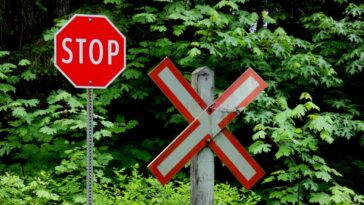 370k Grok AI chats made public without user consent