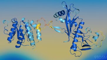 Apple researchers develop SimpleFold, a lightweight AI for protein folding prediction