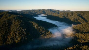 Apple announces new investment as part of its Restore Fund