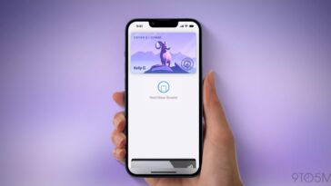 Digital IDs in Apple Wallet: Where are they actually accepted?