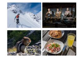Adobe explains why its DSLR-like camera app Indigo doesn’t support the iPhone 17