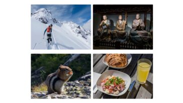 Adobe explains why its DSLR-like camera app Indigo doesn’t support the iPhone 17