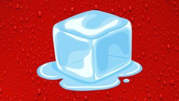 Former veteran Apple marketing exec challenges Tim Cook over ICEBlock