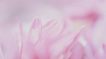 Leaker backs iPhone 18 Pro variable aperture lens reports; maybe Pro Max only