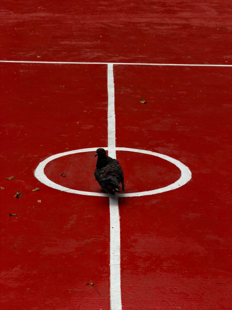 iPhone 17 Pro : les meilleures photos que nous ayons vues jusqu'à présent 5 1762363533 374 iPhone 17 Pro les meilleures photos que nous ayons