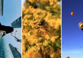 Best iPhone 17 Pro pictures we’ve seen yet