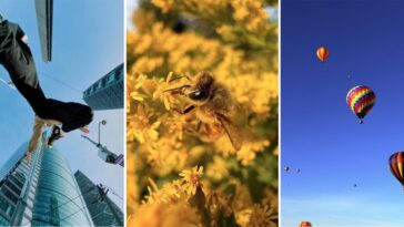 Best iPhone 17 Pro pictures we’ve seen yet