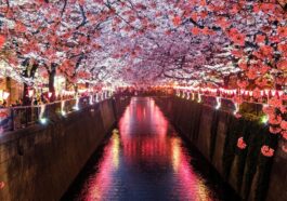 Japan to become 29th country to get third-party iPhone app stores