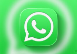 Meta shares first timeline details for WhatsApp username support