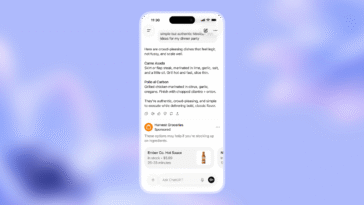 OpenAI launches cheaper ChatGPT subscription, says ads are coming next
