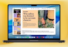 Pages, Numbers, Keynote, and Freeform are becoming freemium apps
