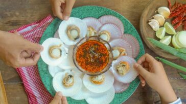 ‘Double-dipping’ dispute over Qualcomm iPhone chips finally ends