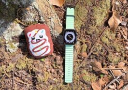 Apple Watch and my plush Pop-Tart