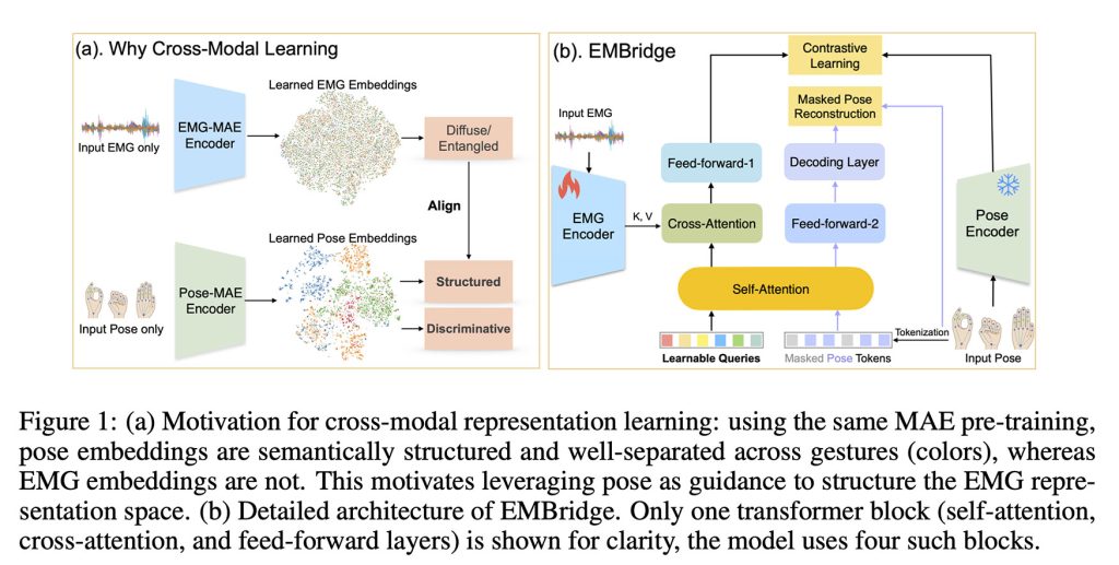 Apple a forme une IA pour reconnaitre des gestes de