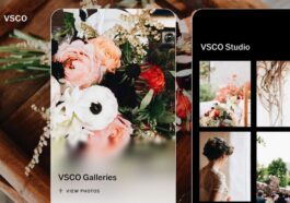 VSCO launches standalone Galleries app to replace messy shared photo folders