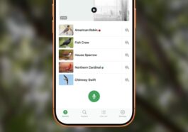 This free iPhone app from Cornell answers nature’s greatest springtime mystery