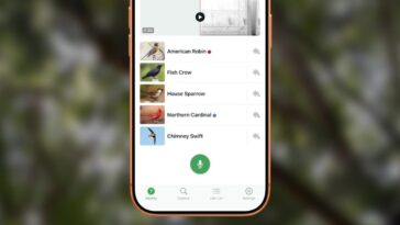 This free iPhone app from Cornell answers nature’s greatest springtime mystery