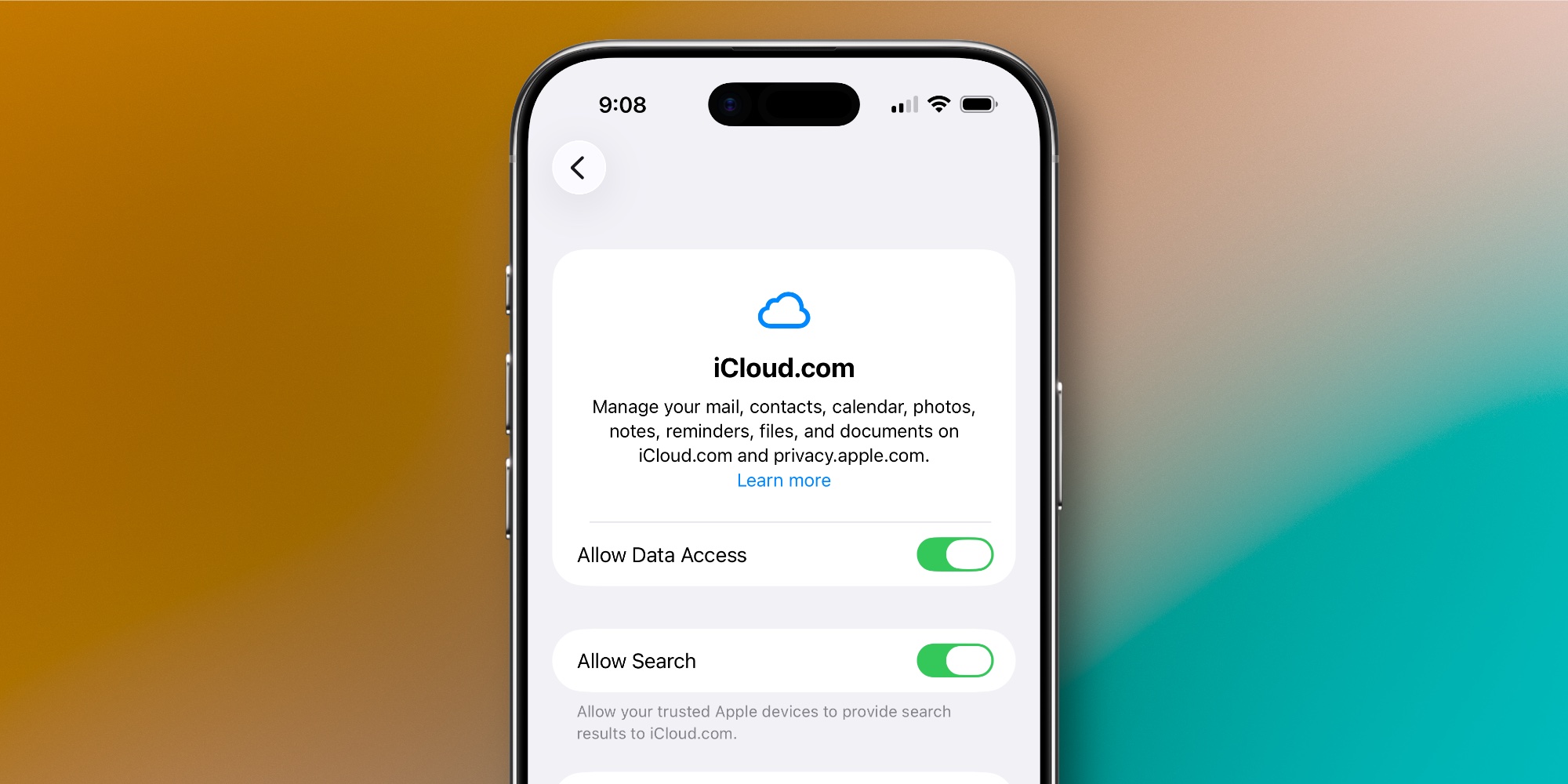 Paramètres de recherche iCloud