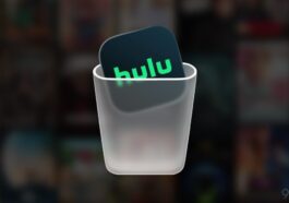 Hulu app will be shut down after Disney+ transition, per leaked file