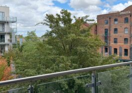 Smart home diary: A fresh look as I start again in my new home