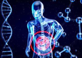 Une loi propose d'interdire aux entreprises d'IA de vendre vos données de santé 35 Law proposed to ban AI companies from selling your health data
