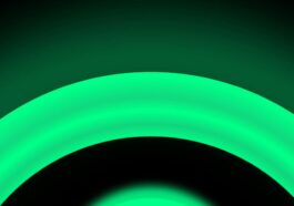 L'application WhatsApp sur iPhone aura un point vert pour indiquer qui est en ligne 4 WhatsApp iPhone app getting a green dot to show who’s online