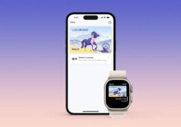 Les permis de conduire Apple Wallet arrivent dans ces États prochainement 4 Apple Wallet driver’s licenses coming to these states next