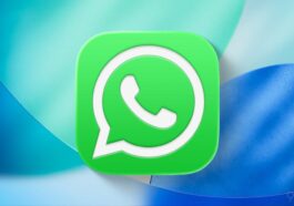 WhatsApp rolls out new chat themes on iOS, including animated wallpapers