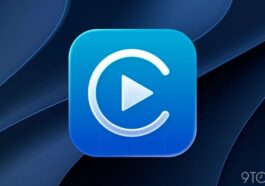 Affordable iPhone accessories for CarPlay worth trying