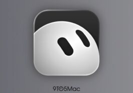 Grok Bot is an all-new iPhone and Mac app from SpaceXAI and Cursor [U]