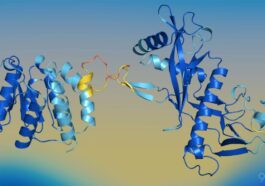 Apple researchers unveil SimpleDesign, a new AI model for protein design