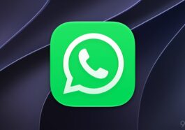 WhatsApp déploie un nouveau bouton de recherche dans les discussions sur iOS 52 WhatsApp starts rolling out new in-chat search button on iOS