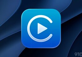 Affordable iPhone accessories for CarPlay worth trying