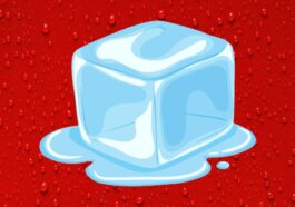 Apple sous pression après la suppression d'ICEBlock de l'App Store 26 Apple faces renewed scrutiny over removal of ICEBlock from the App Store