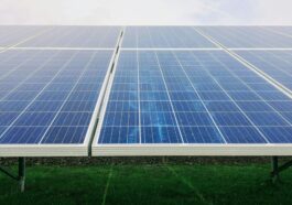 AI will be the defining test of Apple’s environmental commitments, says Greenpeace