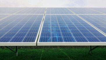 AI will be the defining test of Apple’s environmental commitments, says Greenpeace