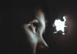 US government acting illegally over electronic surveillance of its own citizens, say senators