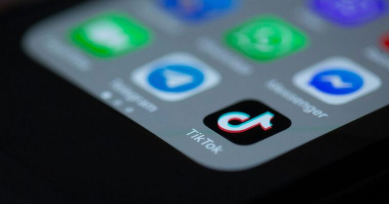 TikTok : Accusé de profiter de vidéos d'exploitation sexuelle impliquant des enfants 1 TikTok accused of profiting from illegal child sexual exploitation videos